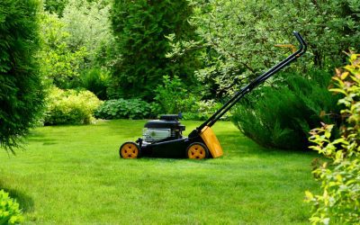 Lawn Care: The Ugly Truth and The Simple Solution