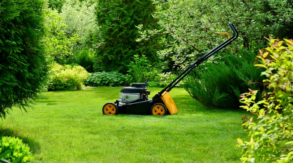 Lawn Care: The Ugly Truth and The Simple Solution